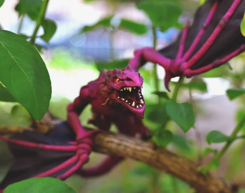 alenka_amicus-158720