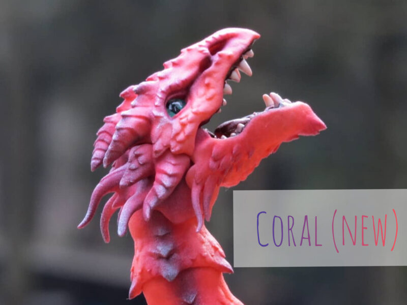 InShot_20200416_1347