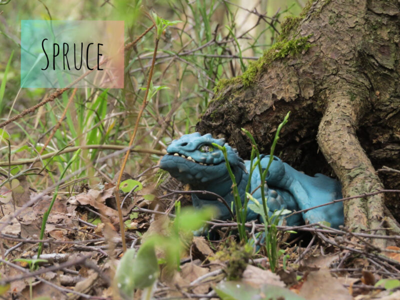 InShot_20200503_1459