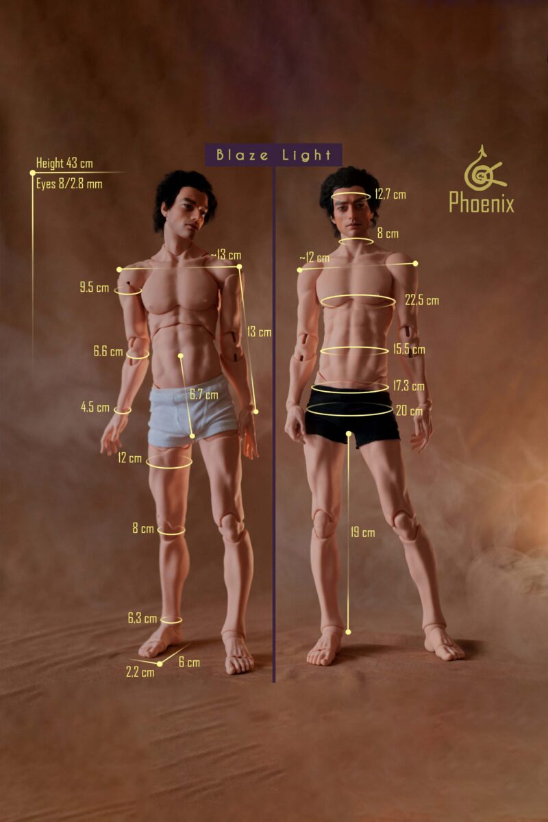 measurments-phoenix-2-scaled