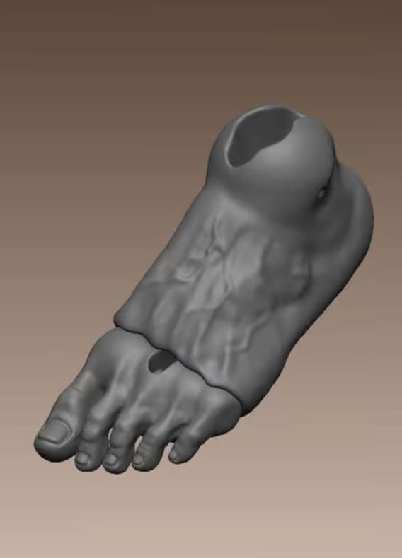 Urfin's 45/Phoenix 43 feet for creating shoes – Digital files