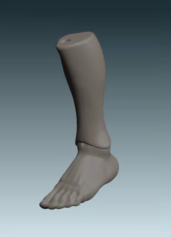 Tommy's feet for creating shoes - Digital files