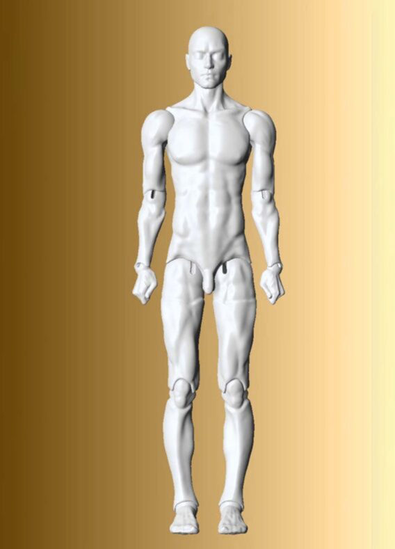 Phoenix Mannequin – Digital files