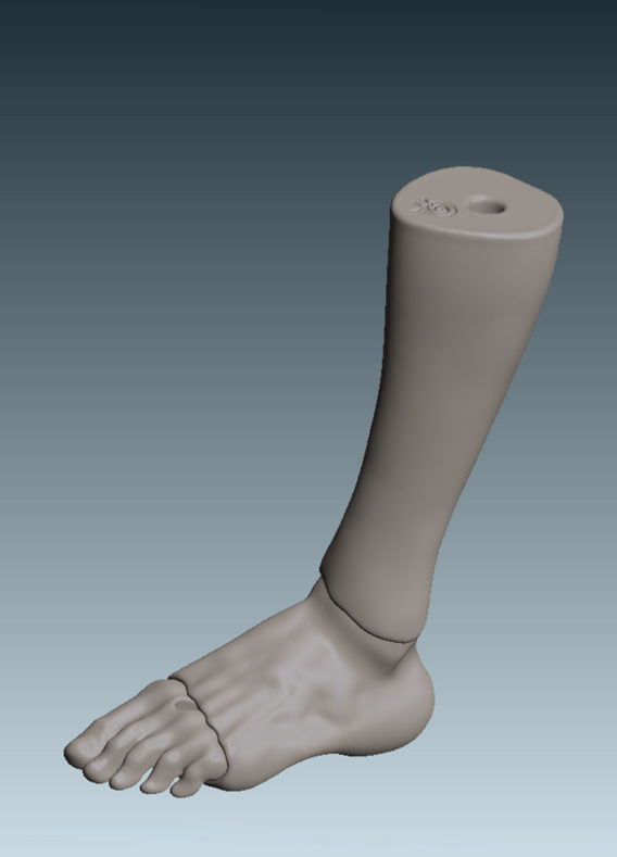 Lili’s feet for creating shoes – Digital files