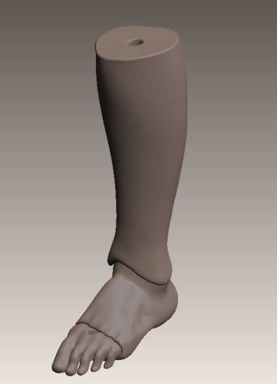 Penelope’s feet for creating shoes – Digital files