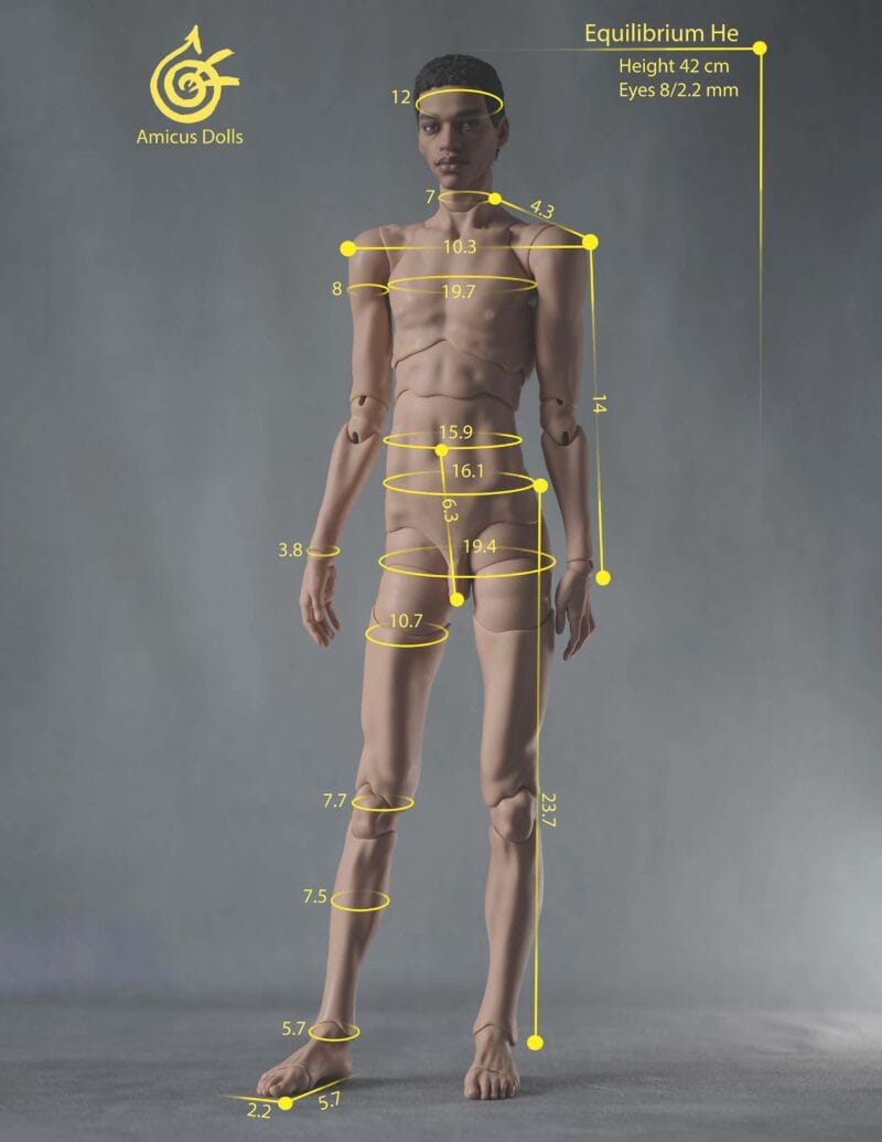 pEquilibriumHe2sizes