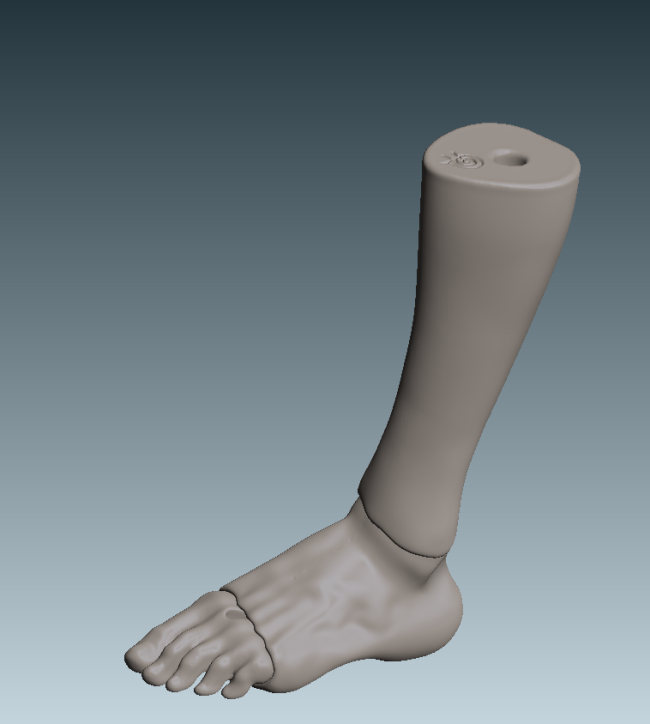Ноги Лили для создания обуви – Цифровые файлы